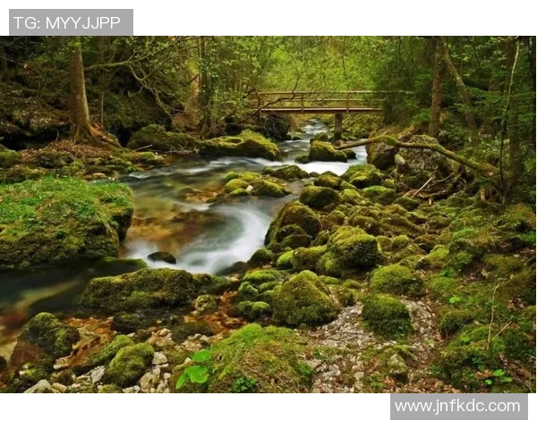 以生态优先推动绿色发展建设,促进人与自然和谐共生的可持续未来 以生态优先推动绿色发展建设,促进人与自然和谐共生的可持续未来