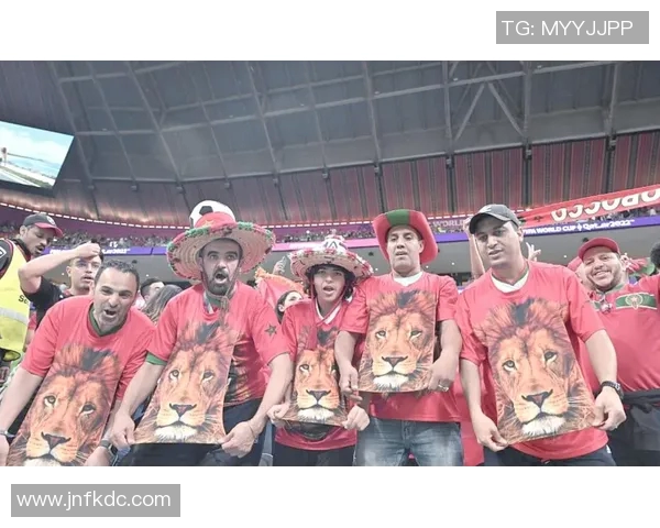 足球明星崛起之路：从青训场到国际赛场的拼搏与荣耀