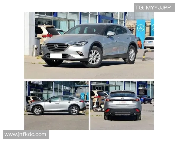 沙萨基与乌尼卡哈激战正酣谁能在这场对决中笑到最后